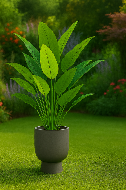 TropenTraum™ – Bananenpflanze