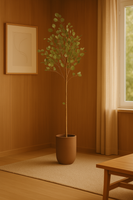 MediterraneOase™ - Eukalyptusbäumchen