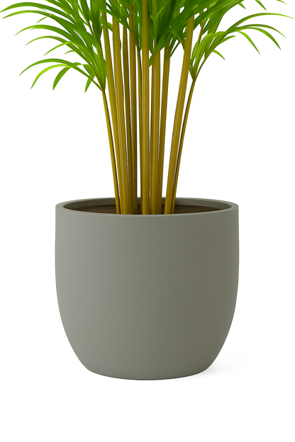 Ostgarten™ - Bambuspflanze