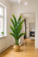 TropenTraum™   Künstliche Ficus-Pflanzen