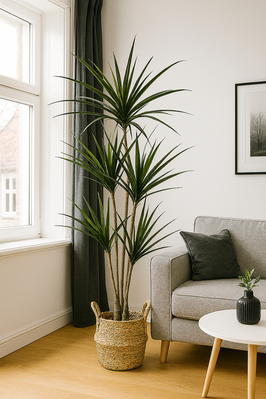 TropenTraum™- Künstliche Dracaena-Pflanzen