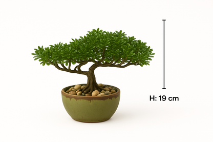 Ostgarten™ - Kleiner Bonsai-Baum