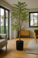 Ostgarten™ - Himmelsbambus