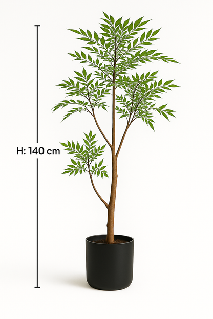 Ostgarten™ - Himmelsbambus
