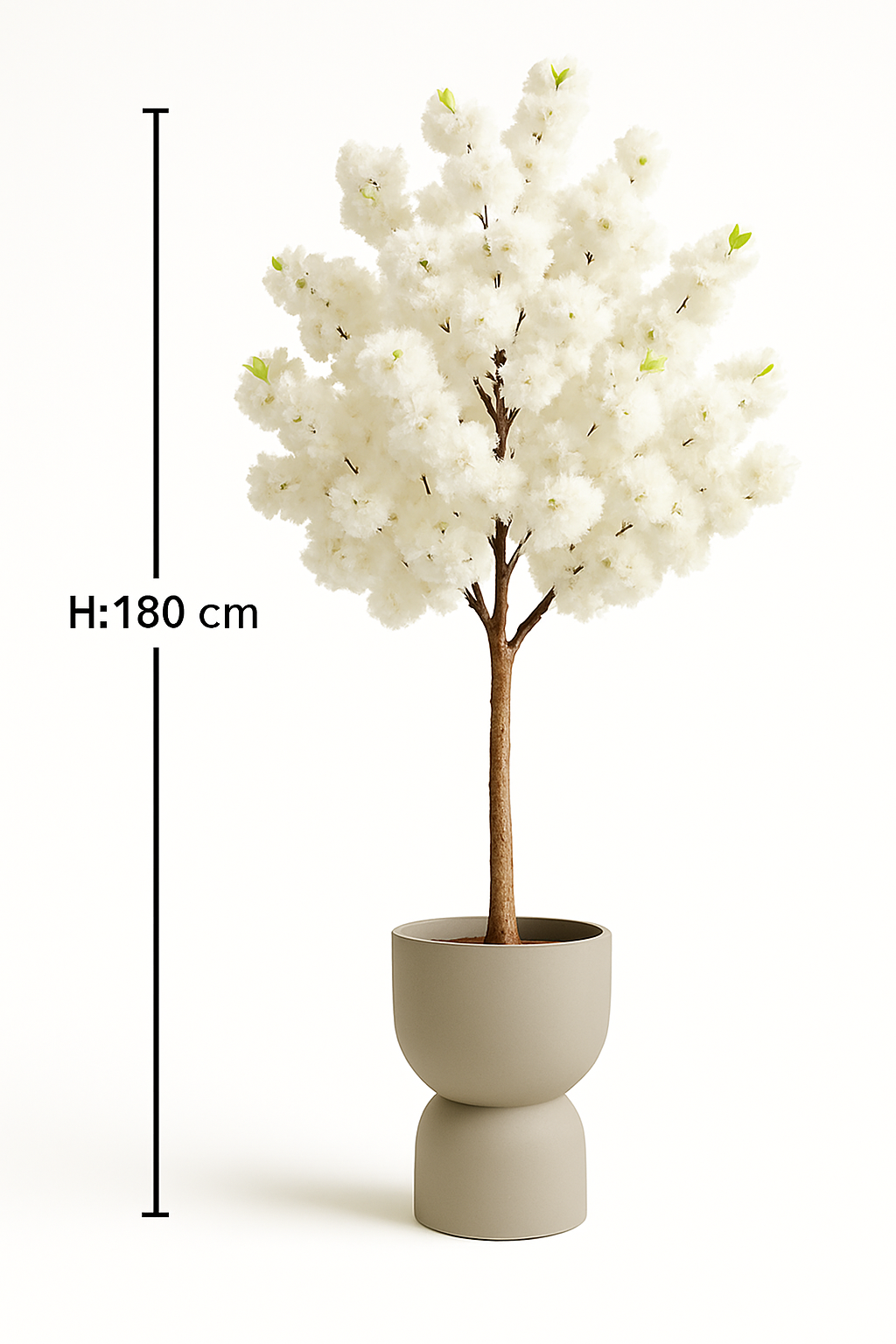 Ostgarten™ - Sakura Frühlingsblütenbaum (Weiß)