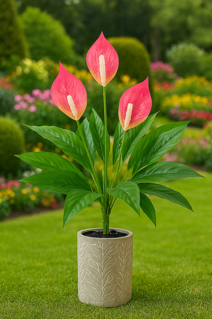 Tropentraum™- Künstliche Anthurium-Topfpflanze