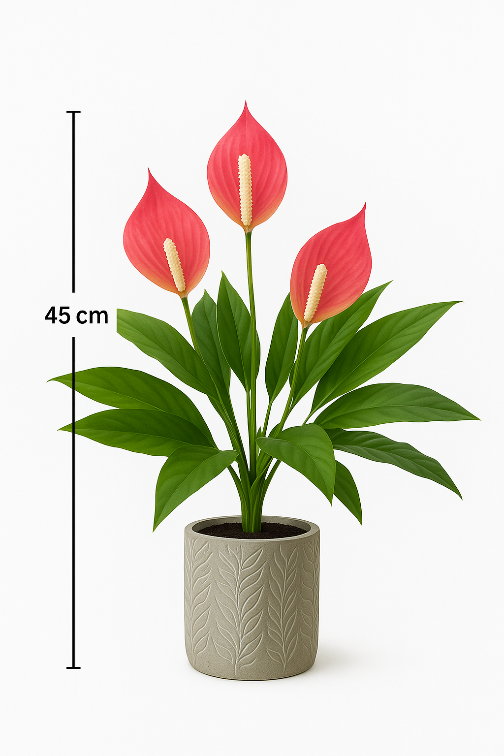 Tropentraum™- Künstliche Anthurium-Topfpflanze