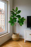 TropenTraum™- Künstlicher Ficus-Baum