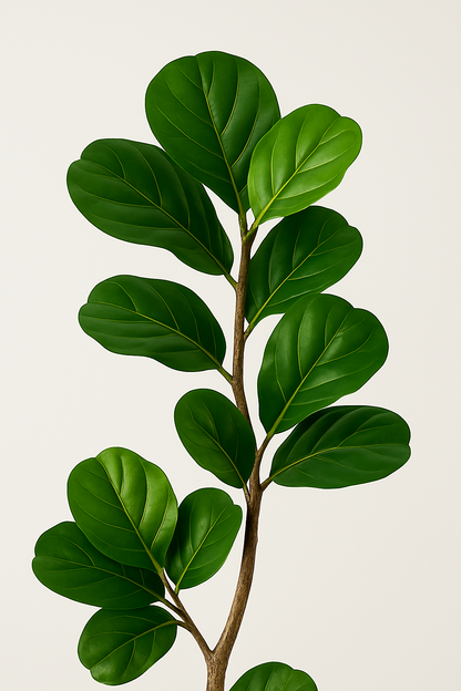 TropenTraum™- Künstliche Zedern-Topiary-Bäume