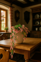 MediterraneOase™ - Calluna Vulgaris Hängepflanze