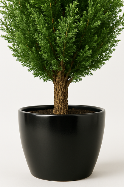 Ostgarten™- Künstliche Zedern Topiary-Bäume