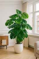 Tropentraum™- Künstliche Monstera-Pflanze