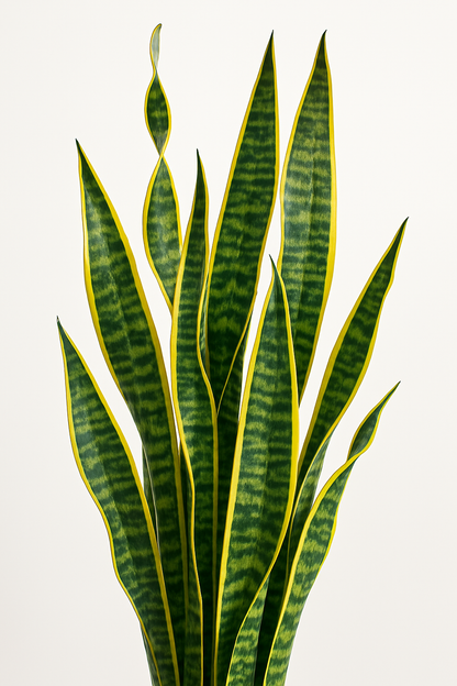 TropenTraum™- Künstliche Sansevieria-Blätter