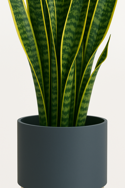 TropenTraum™- Künstliche Sansevieria-Blätter