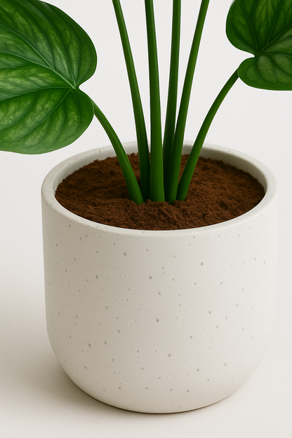 TropenTraum™-  Künstliches grün geädertes Laubblatt