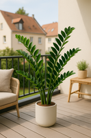TropenTraum™- Ficus-Baum Künstliche Geldblatt-Pflanzen