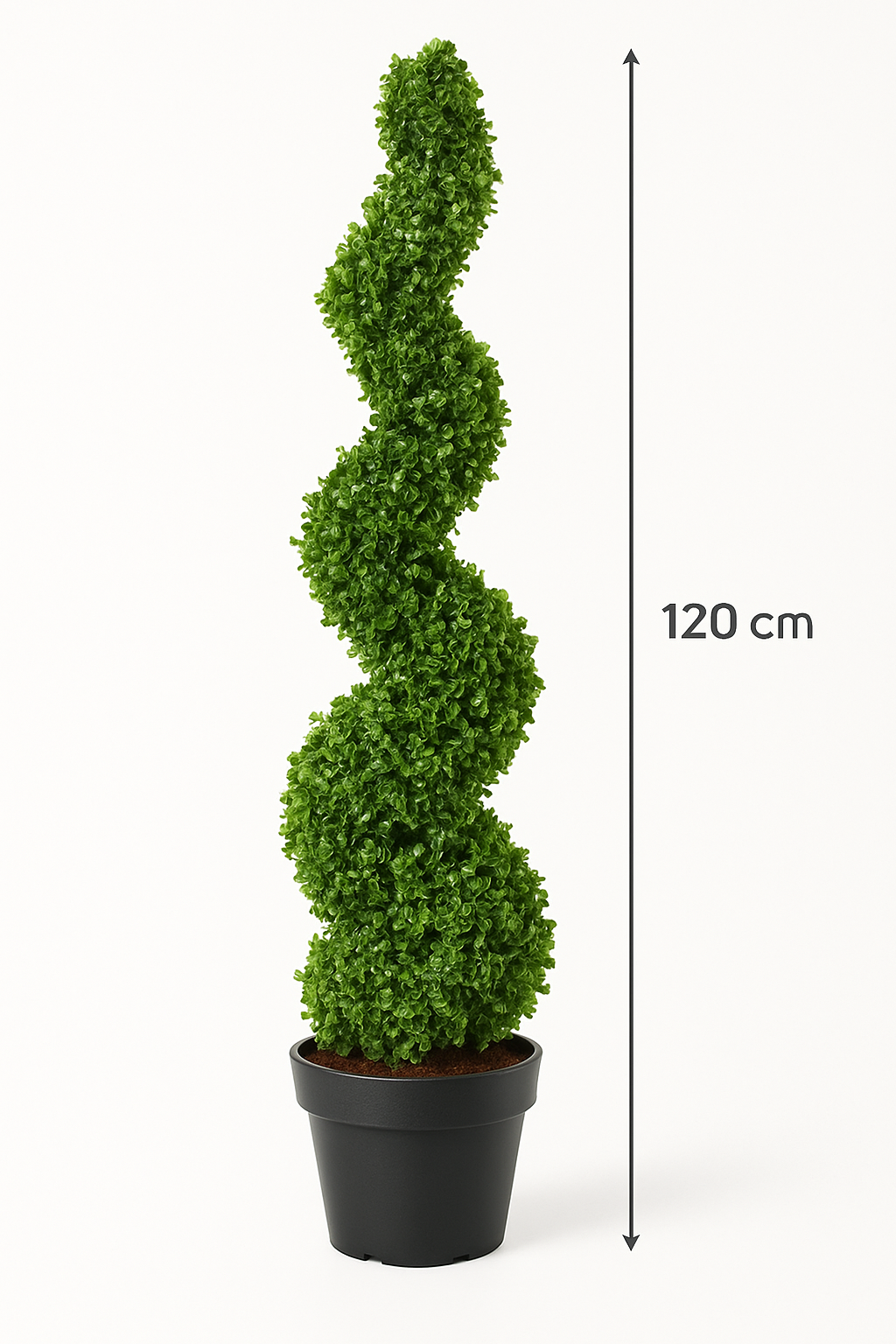 MediterraneOase™- Künstlicher Formschnitt Spirale Pflanze