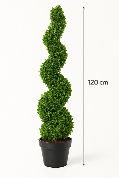 MediterraneOase™- Künstlicher Formschnitt Spirale Pflanze