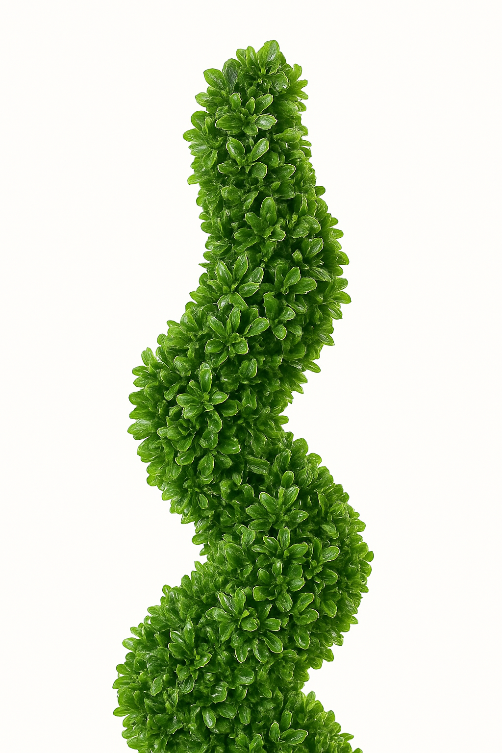 MediterraneOase™- Künstlicher Formschnitt Spirale Pflanze