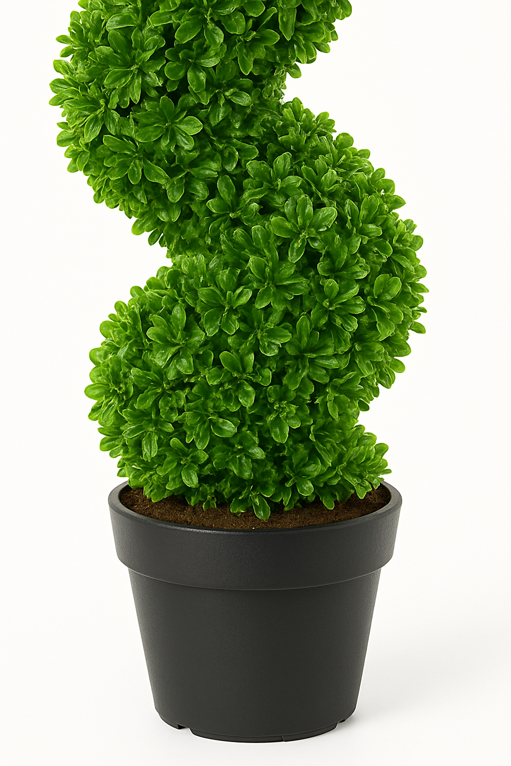 MediterraneOase™- Künstlicher Formschnitt Spirale Pflanze