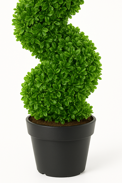 MediterraneOase™- Künstlicher Formschnitt Spirale Pflanze