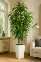 TropenTraum™- Künstlicher Dracaena-Baum