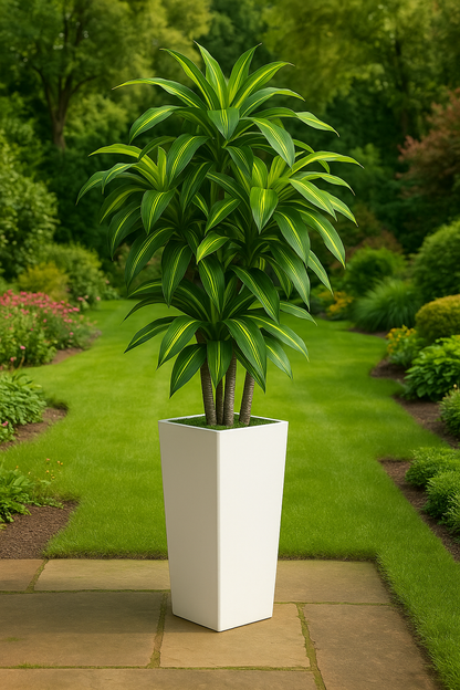 TropenTraum™- Künstlicher Dracaena-Baum