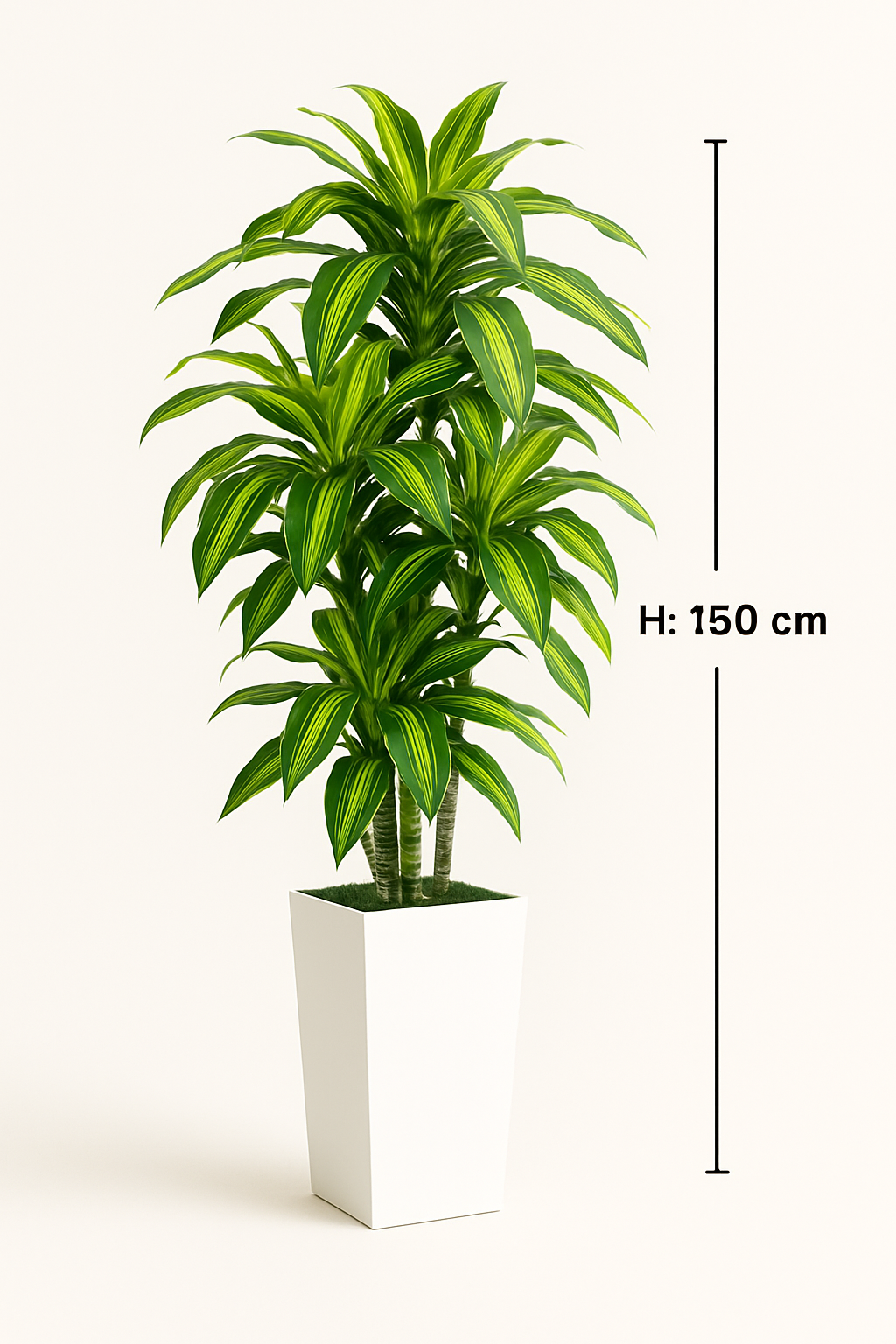 TropenTraum™- Künstlicher Dracaena-Baum