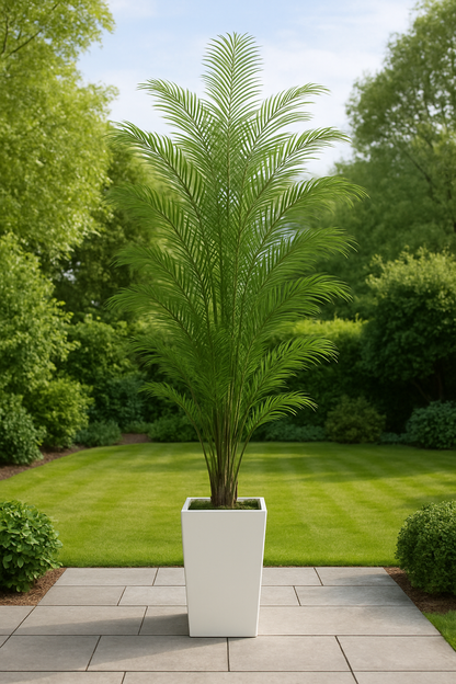 TropenTraum™- Künstliche Arecapalmen-Pflanzen