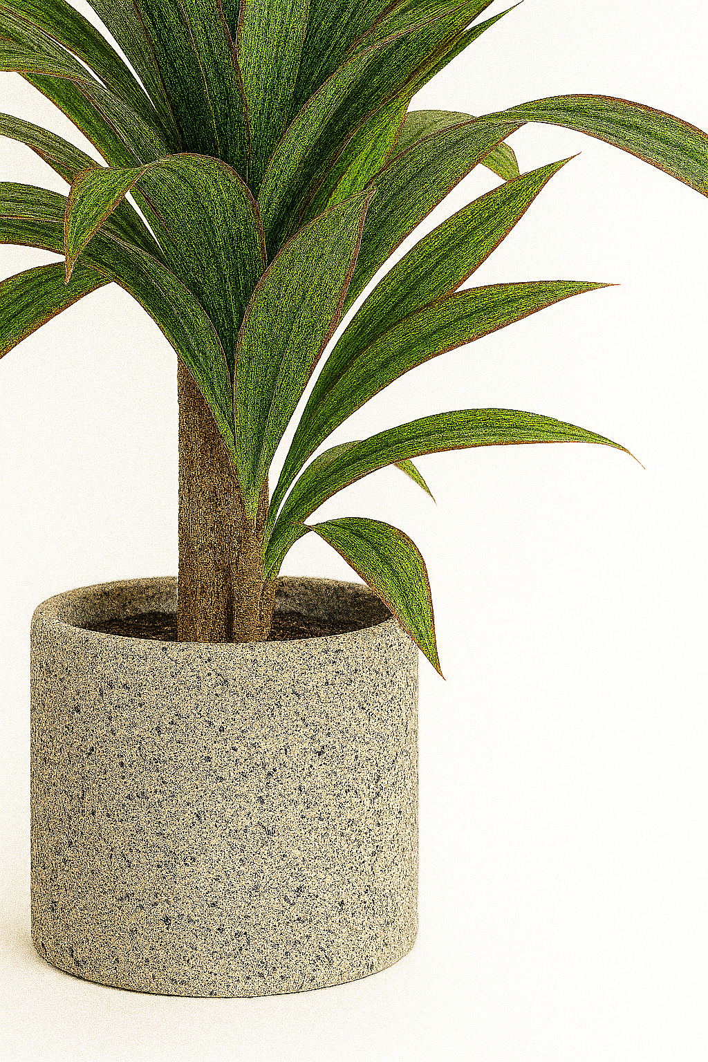 TropenTraum™- Künstliche Dracaena Pflanze Indoor