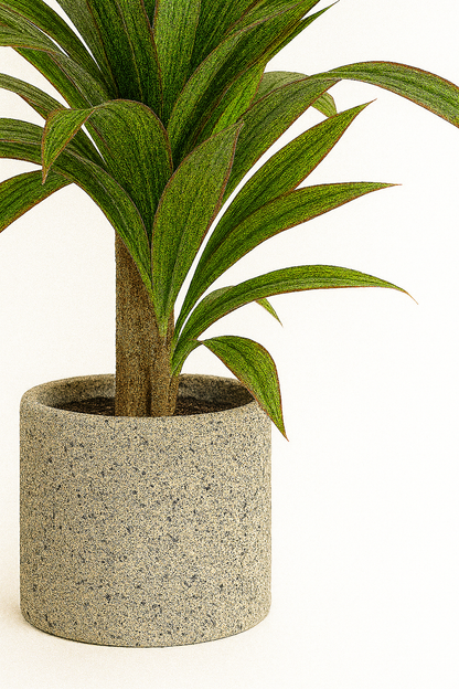 TropenTraum™- Künstliche Dracaena Pflanze Indoor