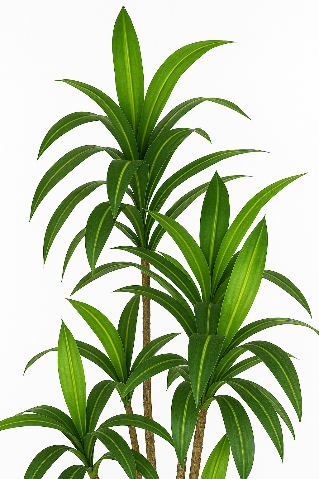 TropenTraum™- Künstlicher Dracaena-Baum