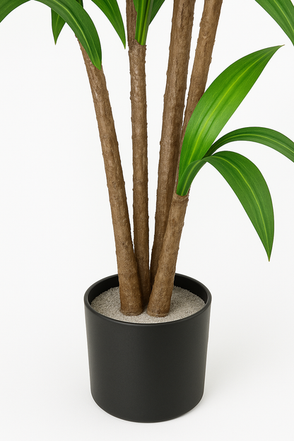 TropenTraum™- Künstlicher Dracaena-Baum