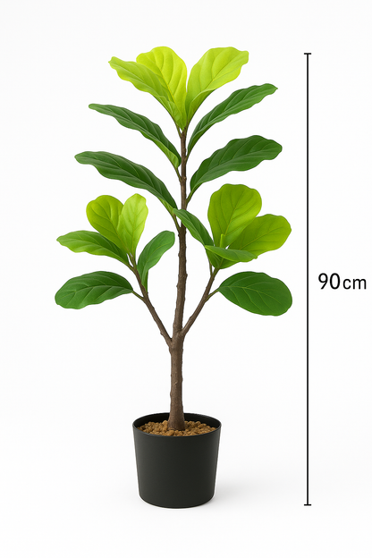TropenTraum™- Grünpflanze Qinye Banyan Baum Bonsai Dekoration