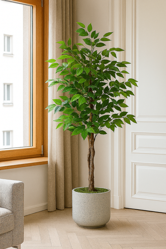 Ostgarten™ – Kunstvoller Banyanbaum