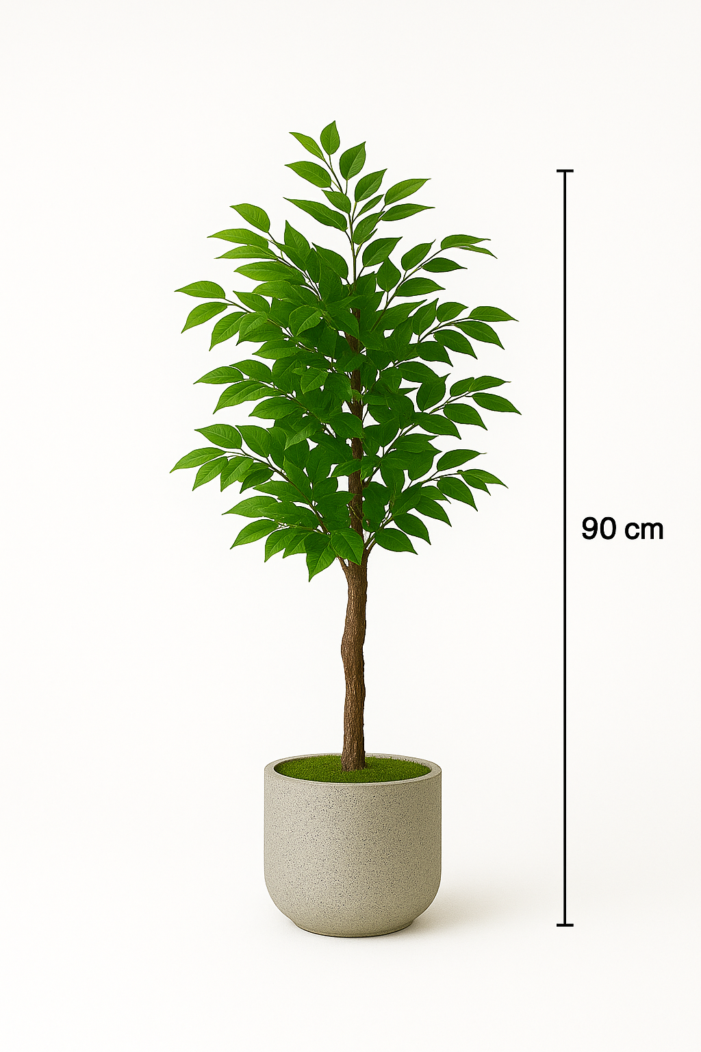 Ostgarten™ – Kunstvoller Banyanbaum