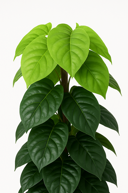 TropenTraum™- Künstliche Philo-Pflanze im Topf