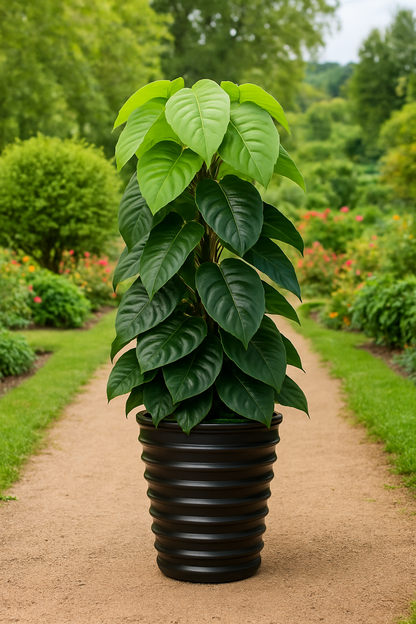 TropenTraum™- Künstliche Philo-Pflanze im Topf