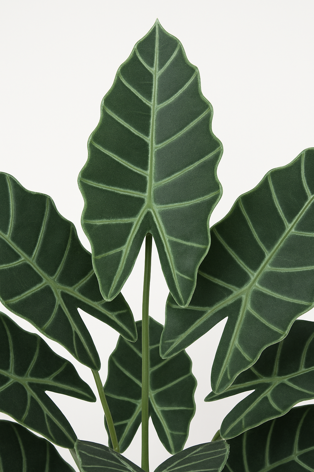 TropenTraum™- Künstliche Glücks-Taro-Blätter