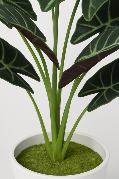 TropenTraum™- Künstliche Glücks-Taro-Blätter