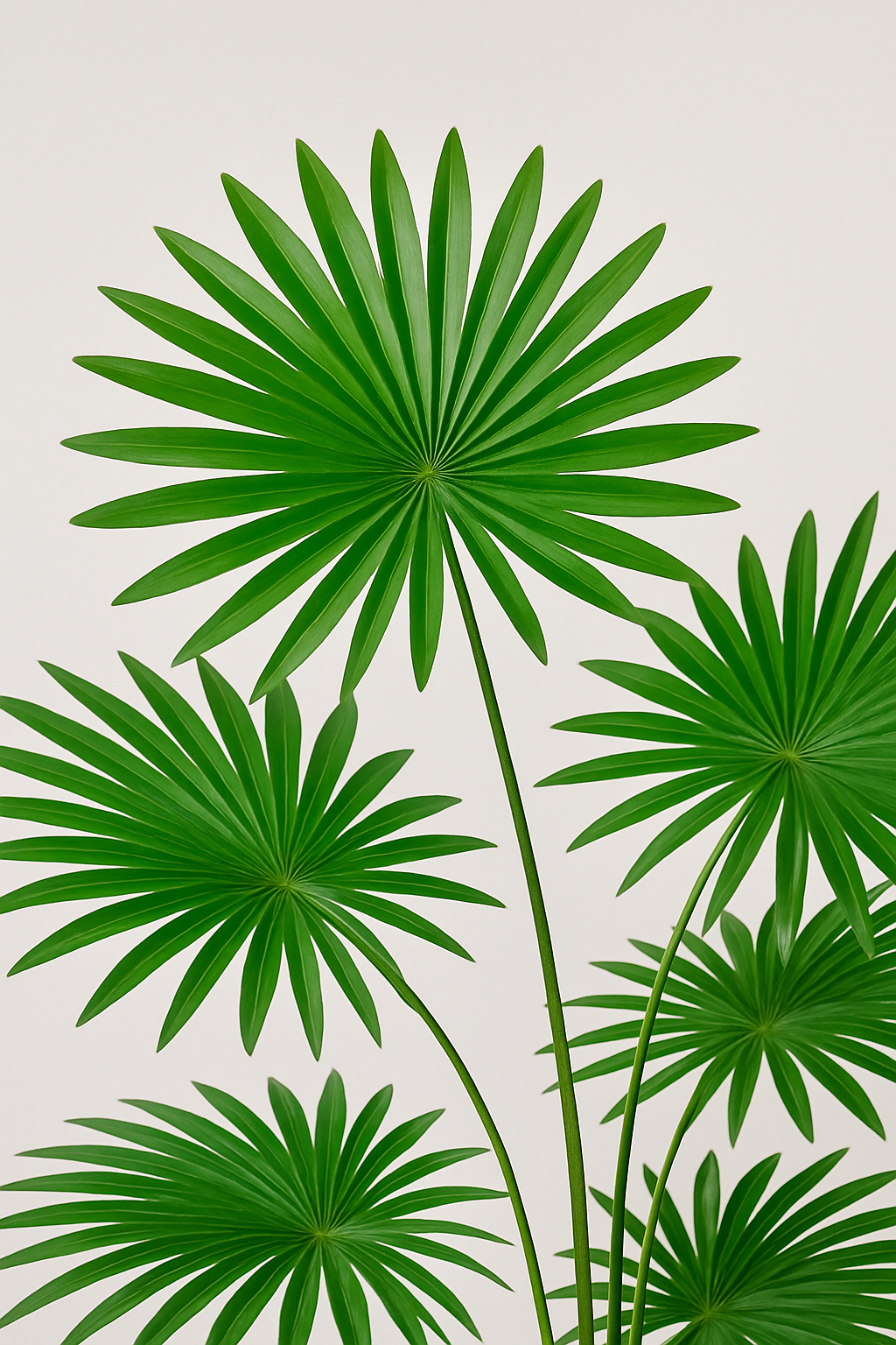 TropenTraum™- Künstliche Fächerblatt-Tropikpflanze