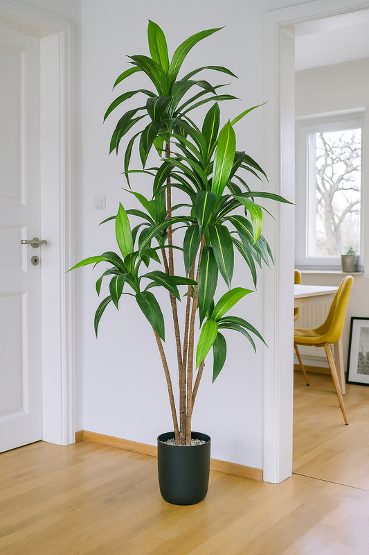 TropenTraum™- Künstlicher Dracaena-Baum