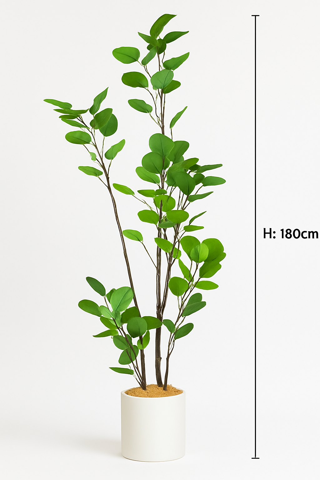 Ostgarten™- Künstlicher Geldbaum