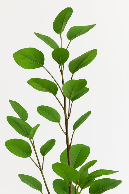 Ostgarten™- Künstlicher Geldbaum