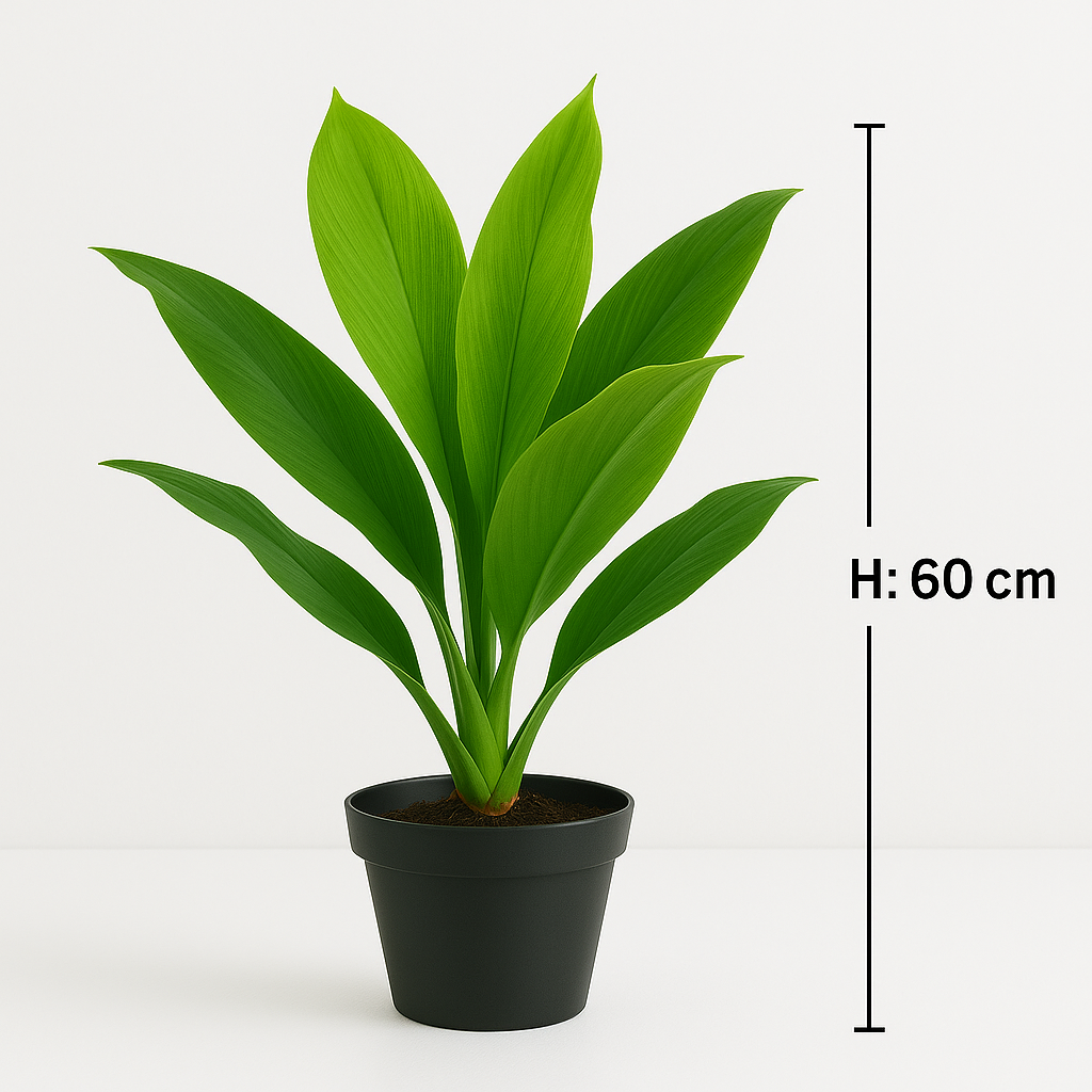 Ostgarten™-Künstliche Dracaena-Pflanze