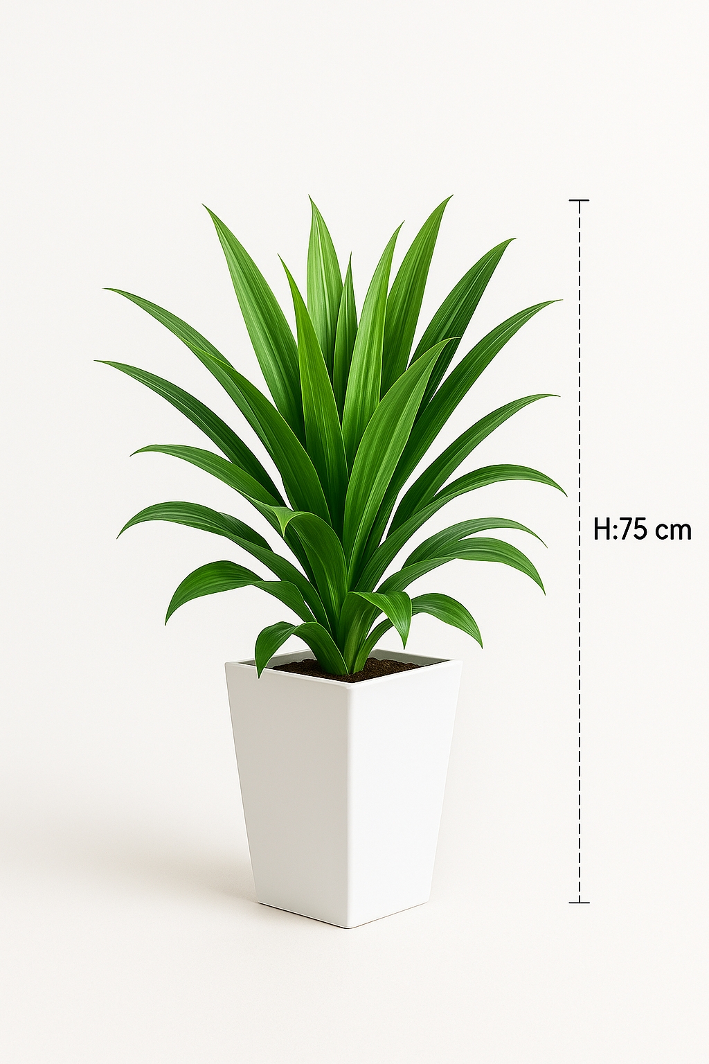 TropenTraum™- Künstliche Dracaena-Pflanze