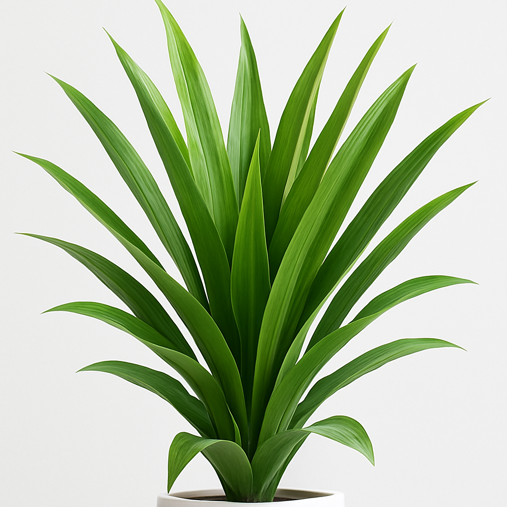 TropenTraum™- Künstliche Dracaena-Pflanze