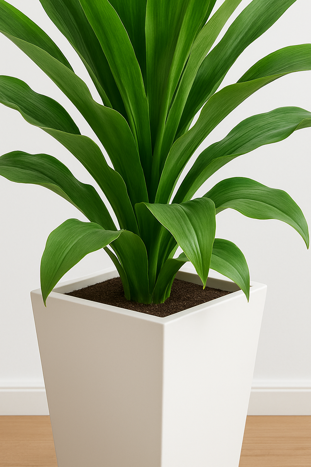 TropenTraum™- Künstliche Dracaena-Pflanze