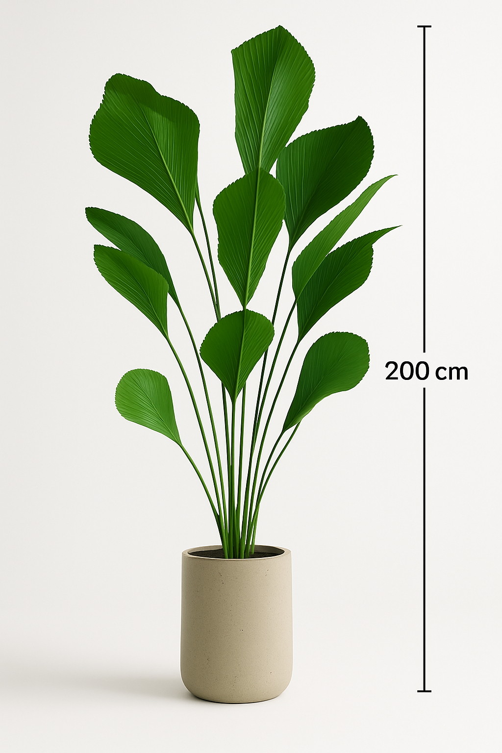 TropenTraum™- Künstliche Pflanze Sumatra-Palme