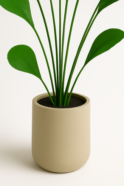 TropenTraum™- Künstliche Pflanze Sumatra-Palme